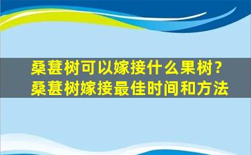 桑葚树可以嫁接什么果树？桑葚树嫁接最佳时间和方法