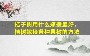 桔子树用什么嫁接最好，桔树嫁接各种果树的方法