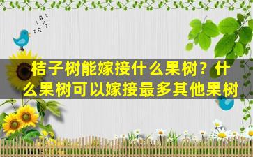 桔子树能嫁接什么果树？什么果树可以嫁接最多其他果树