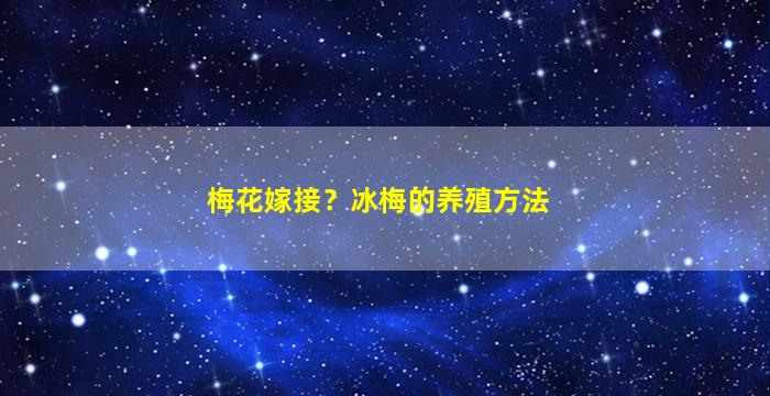 梅花嫁接？冰梅的养殖方法