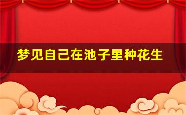 梦见自己在池子里种花生