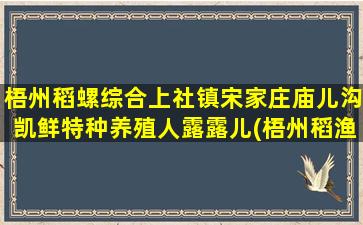 梧州稻螺综合上社镇宋家庄庙儿沟凯鲜特种养殖人露露儿(梧州稻渔综合种养)