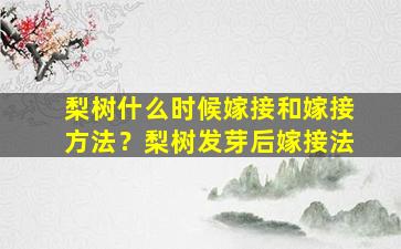 梨树什么时候嫁接和嫁接方法？梨树发芽后嫁接法