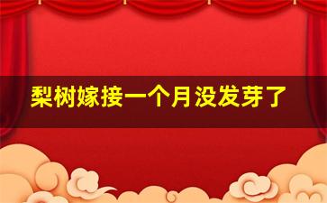 梨树嫁接一个月没发芽了