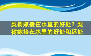 梨树嫁接在水里的好处？梨树嫁接在水里的好处和坏处