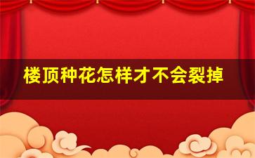 楼顶种花怎样才不会裂掉