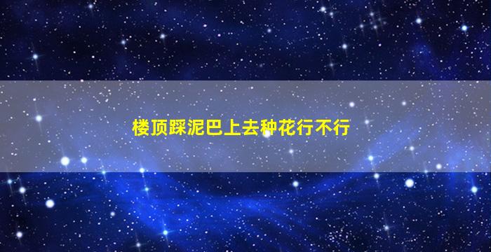 楼顶踩泥巴上去种花行不行