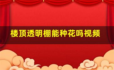 楼顶透明棚能种花吗视频