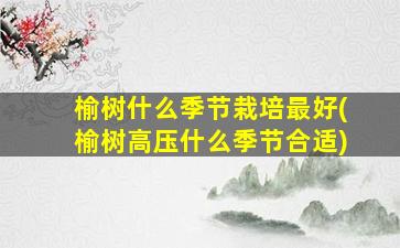 榆树什么季节栽培最好(榆树高压什么季节合适)