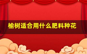 榆树适合用什么肥料种花