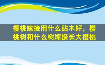 樱桃嫁接用什么砧木好，樱桃树和什么树嫁接长大樱桃