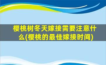 樱桃树冬天嫁接需要注意什么(樱桃的最佳嫁接时间)