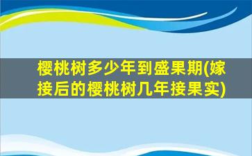 樱桃树多少年到盛果期(嫁接后的樱桃树几年接果实)