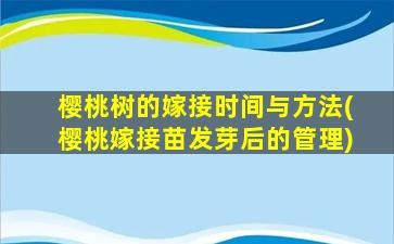 樱桃树的嫁接时间与方法(樱桃嫁接苗发芽后的管理)