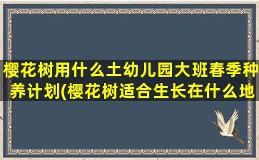 樱花树用什么土幼儿园大班春季种养计划(樱花树适合生长在什么地方)