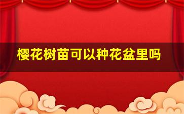 樱花树苗可以种花盆里吗