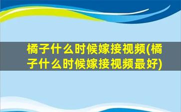 橘子什么时候嫁接视频(橘子什么时候嫁接视频最好)