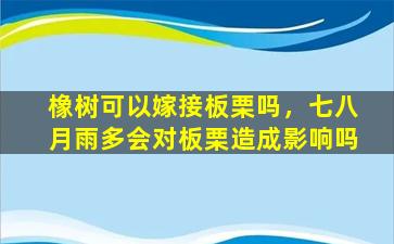 橡树可以嫁接板栗吗，七八月雨多会对板栗造成影响吗