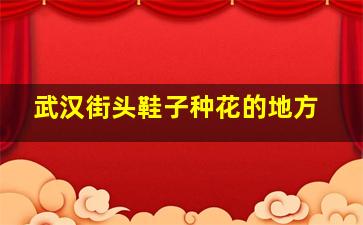 武汉街头鞋子种花的地方