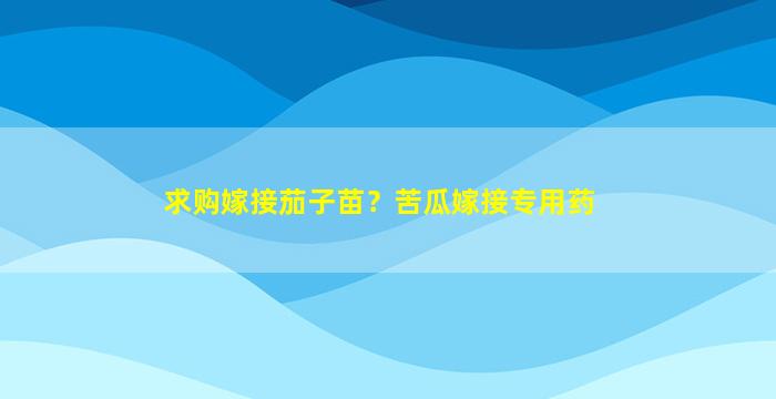 求购嫁接茄子苗？苦瓜嫁接专用药