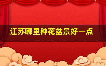 江苏哪里种花盆景好一点