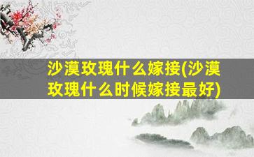 沙漠玫瑰什么嫁接(沙漠玫瑰什么时候嫁接最好)