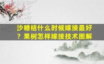 沙糖桔什么时候嫁接最好？果树怎样嫁接技术图解