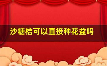 沙糖桔可以直接种花盆吗