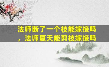 法师断了一个枝能嫁接吗，法师夏天能剪枝嫁接吗