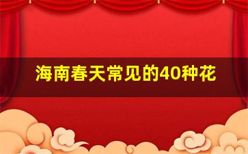 海南春天常见的40种花