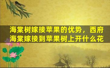 海棠树嫁接苹果的优势，西府海棠嫁接到苹果树上开什么花