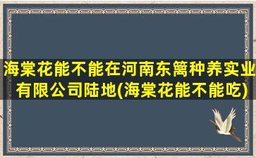 海棠花能不能在河南东篱种养实业有限公司陆地(海棠花能不能吃)