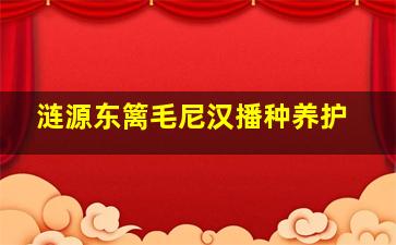 涟源东篱毛尼汉播种养护