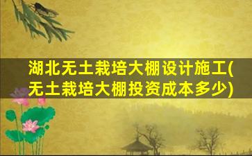 湖北无土栽培大棚设计施工(无土栽培大棚投资成本多少)