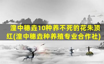 湟中穗垚10种养不死的花朱顶红(湟中穗垚种养殖专业合作社)