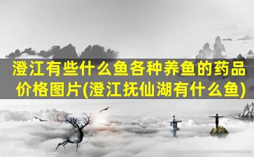 澄江有些什么鱼各种养鱼的药品价格图片(澄江抚仙湖有什么鱼)