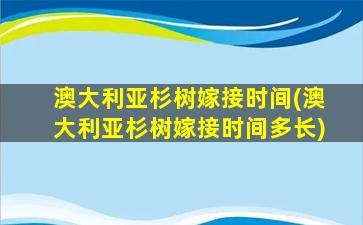 澳大利亚杉树嫁接时间(澳大利亚杉树嫁接时间多长)