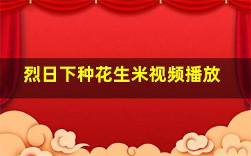 烈日下种花生米视频播放