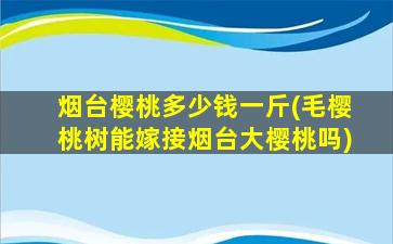 烟台樱桃多少钱一斤(毛樱桃树能嫁接烟台大樱桃吗)