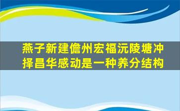 燕子新建儋州宏福沅陵塘冲择昌华感动是一种养分结构