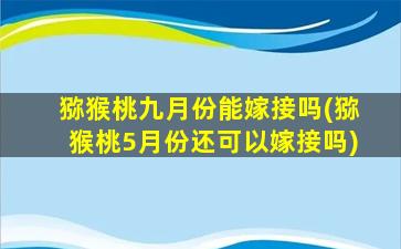 猕猴桃九月份能嫁接吗(猕猴桃5月份还可以嫁接吗)