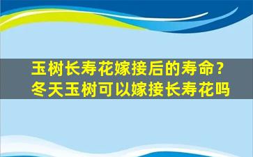 玉树长寿花嫁接后的寿命？冬天玉树可以嫁接长寿花吗