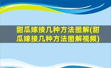 甜瓜嫁接几种方法图解(甜瓜嫁接几种方法图解视频)