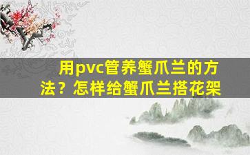 用pvc管养蟹爪兰的方法？怎样给蟹爪兰搭花架