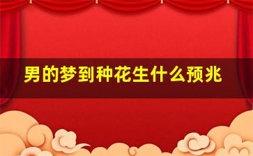 男的梦到种花生什么预兆