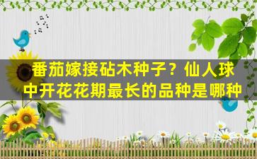 番茄嫁接砧木种子？仙人球中开花花期最长的品种是哪种