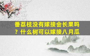 番荔枝没有嫁接会长果吗？什么树可以嫁接八月瓜