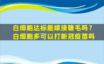 白细胞达标能嫁接睫毛吗？白细胞多可以打新冠疫苗吗