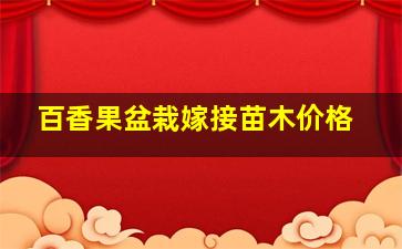 百香果盆栽嫁接苗木价格