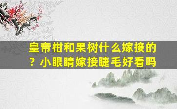 皇帝柑和果树什么嫁接的？小眼睛嫁接睫毛好看吗